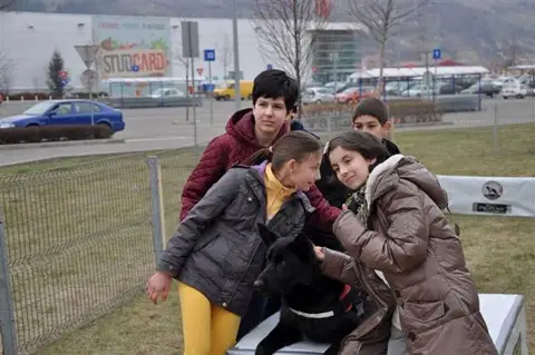 Școala Altfel la cora 2012