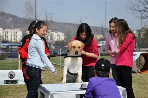 Școala Altfel la cora 2012