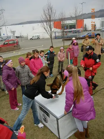 Școala Altfel la cora 2012