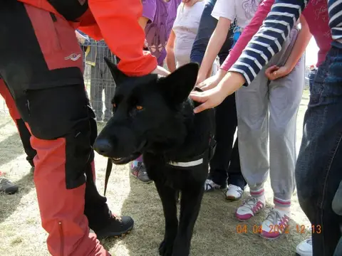 Școala Altfel la cora 2012