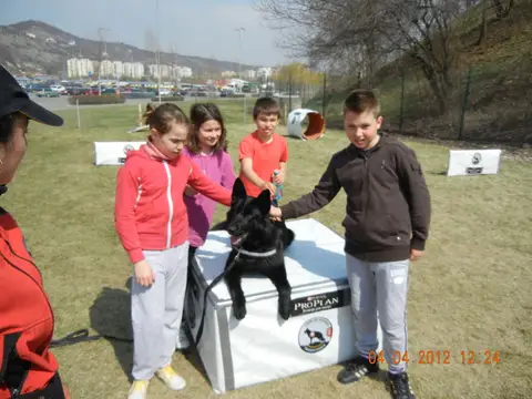 Școala Altfel la cora 2012
