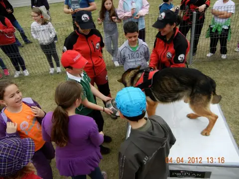 Școala Altfel la cora 2012