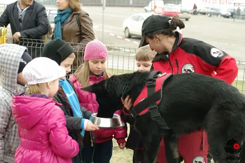 Școala Altfel la cora 2012