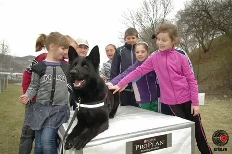 Școala Altfel la cora 2012