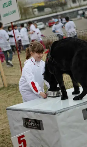 Școala Altfel la cora 2012