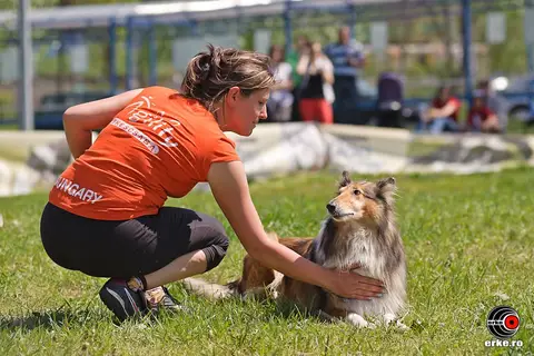 HiperParada Animalelor la cora 2012