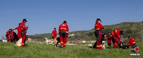 HiperParada Animalelor la cora 2012