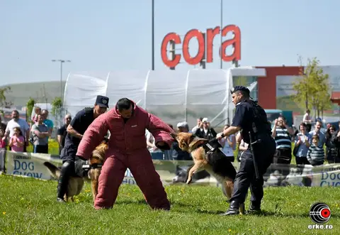HiperParada Animalelor la cora 2012