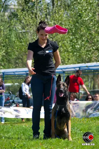 HiperParada Animalelor la cora 2012