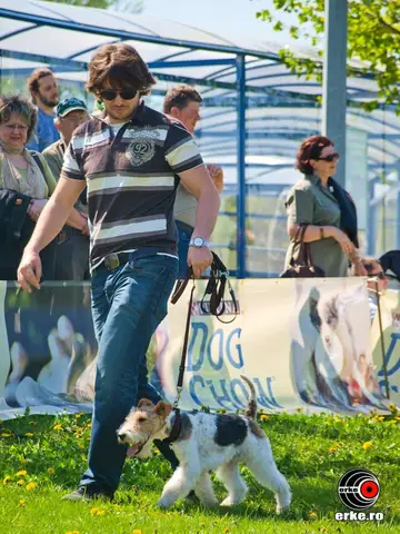 HiperParada Animalelor la cora 2012