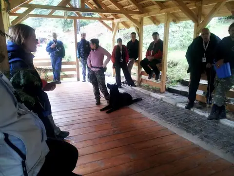 International Rescue Dog Camp 2012, Baia Sprie