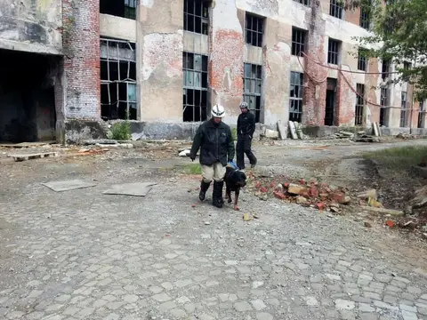 International Rescue Dog Camp 2012, Baia Sprie