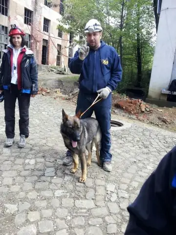 International Rescue Dog Camp 2012, Baia Sprie
