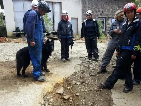 International Rescue Dog Camp 2012, Baia Sprie