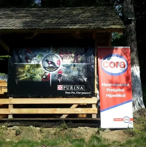 International Rescue Dog Camp 2012, Baia Sprie