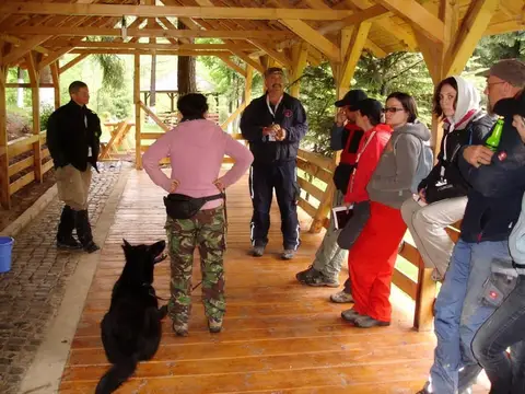 International Rescue Dog Camp 2012, Baia Sprie