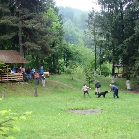 International Rescue Dog Camp 2012, Baia Sprie