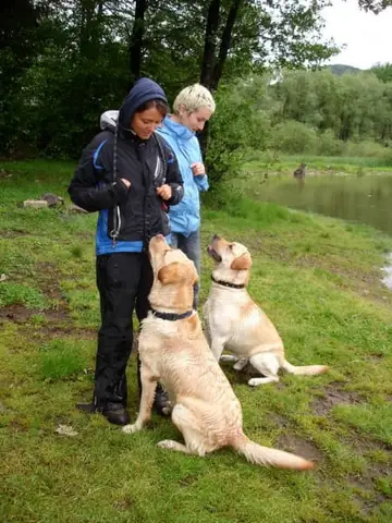 International Rescue Dog Camp 2012, Baia Sprie