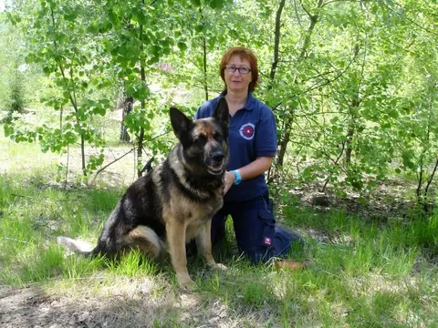 International Rescue Dog Camp 2012, Baia Sprie