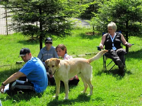International Rescue Dog Camp 2012, Baia Sprie
