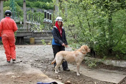 International Rescue Dog Camp 2012, Baia Sprie