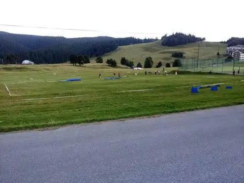 International rescue-dog exam – Donovaly, Slovakia (August 2012)