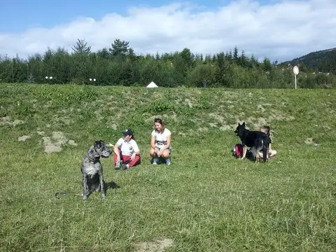 International rescue-dog exam – Donovaly, Slovakia (August 2012)