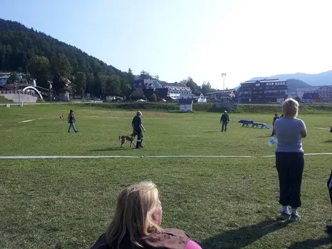 International rescue-dog exam – Donovaly, Slovakia (August 2012)