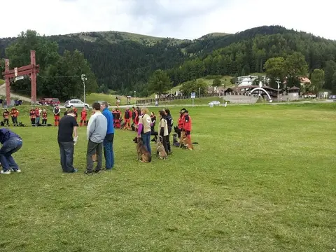 International rescue-dog exam – Donovaly, Slovakia (August 2012)