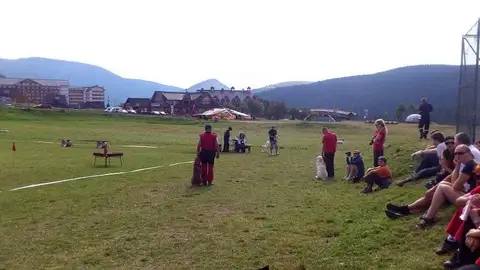 International rescue-dog exam – Donovaly, Slovakia (August 2012)