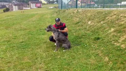 International rescue-dog exam – Donovaly, Slovakia (August 2012)