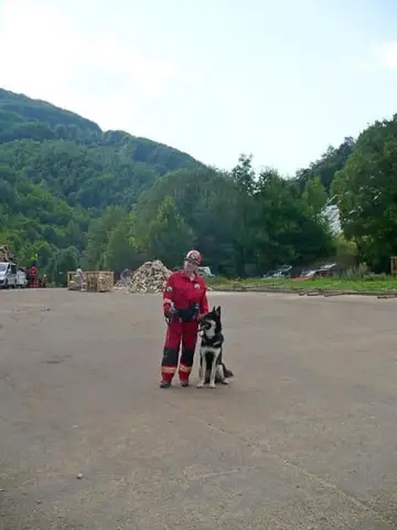 International rescue-dog exam – Donovaly, Slovakia (August 2012)
