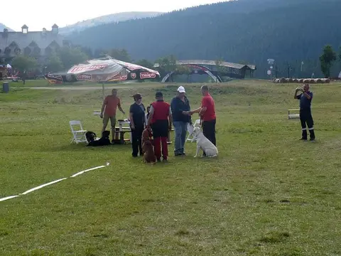 International rescue-dog exam – Donovaly, Slovakia (August 2012)