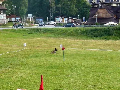 International rescue-dog exam – Donovaly, Slovakia (August 2012)