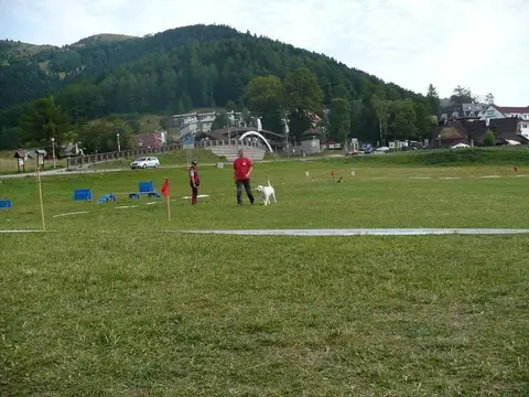 International rescue-dog exam – Donovaly, Slovakia (August 2012)