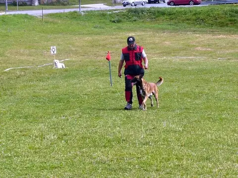 International rescue-dog exam – Donovaly, Slovakia (August 2012)