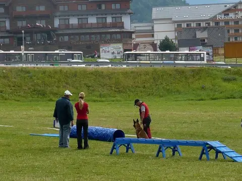 International rescue-dog exam – Donovaly, Slovakia (August 2012)