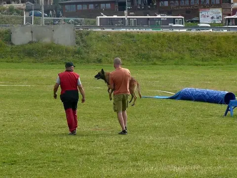 International rescue-dog exam – Donovaly, Slovakia (August 2012)