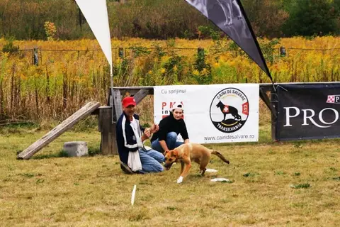 DiscDogging seminar 2012
