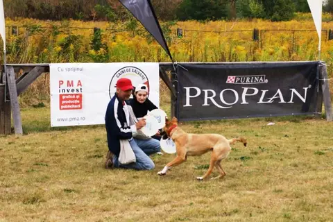 DiscDogging seminar 2012