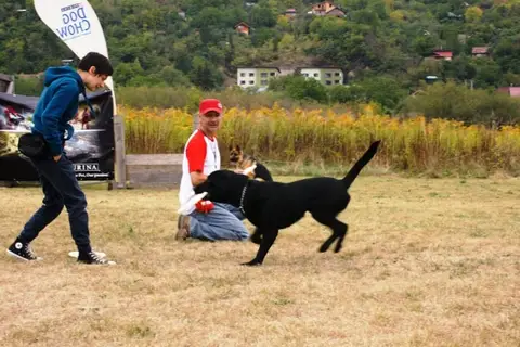 DiscDogging seminar 2012