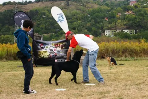 DiscDogging seminar 2012