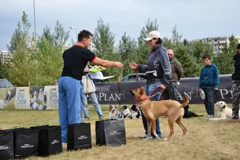 DiscDogging seminar 2012
