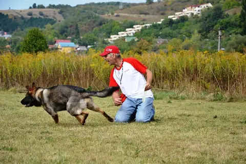 DiscDogging seminar 2012