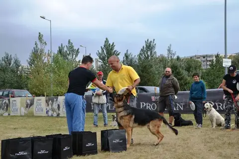 DiscDogging seminar 2012