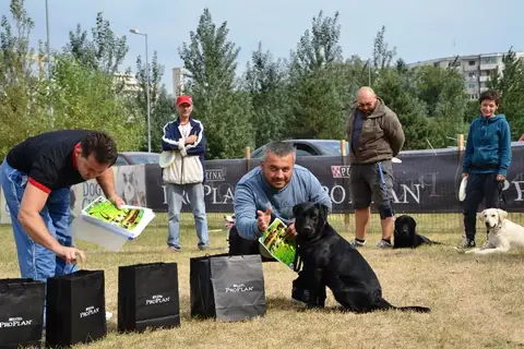 DiscDogging seminar 2012