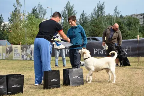 DiscDogging seminar 2012