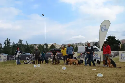 DiscDogging seminar 2012