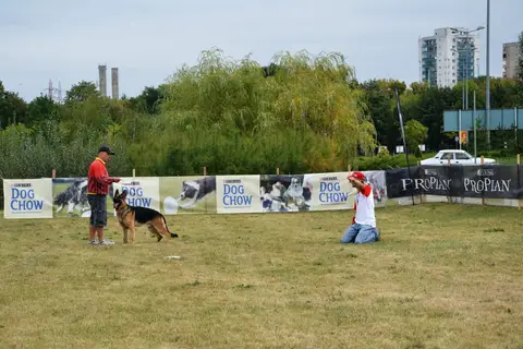 DiscDogging seminar 2012