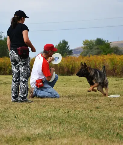 DiscDogging seminar 2012